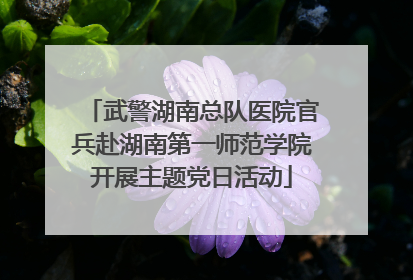 武警湖南总队医院官兵赴湖南第一师范学院开展主题党日活动